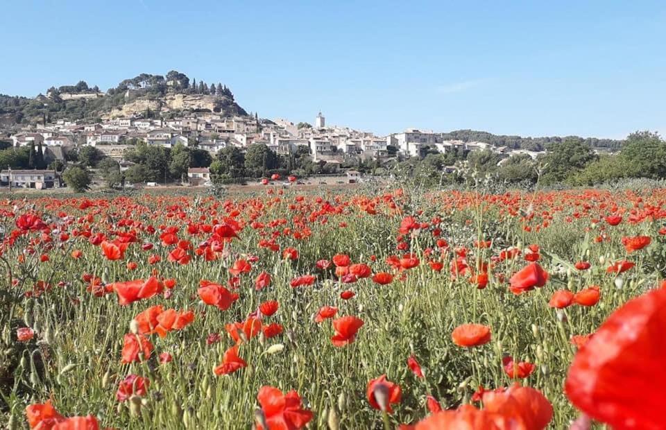 L'Amanderaie Piscine Privee A Cote De Lourmarin Luberon Apartment Cadenet Ngoại thất bức ảnh